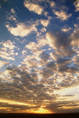 Wall Mural - Kenya, Maasai Mara National Reserve, Cloud pattern at sunrise