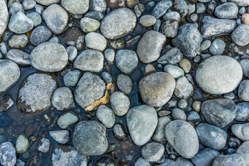 round river rocks background 2