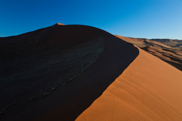 Wall Mural - Sand dunes, Namib Naukluft National Park, Namibia