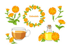 Calendula Set. Vector Cartoon Orange Flowers Isolated On White Background. Marigold Flowers Wreath, Tea, Calendula Oil And Bouquet In Cartoon Simple Flat Style. Healing Herbs.