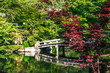 Kyoto, Japan. Eikando Temple, stone bridge over pond leading to temple
