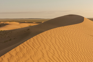 Poster - Sand Dunes at sunrise. Gobi desert. Mongolia.