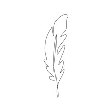 Bird Feather One Line Drawing. Continuous Line. Hand-drawn Minimalist Illustration, Vector.