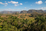 Fototapeta Dziecięca - Cuba, Vinales Valley, stunning landscapes, rural areas, traditional farming practices. Known as the tobacco producing region of Cuba.