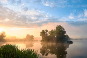 Foggy morning. Dawn outside the city. It will be a warm day. Morning fog on the lake