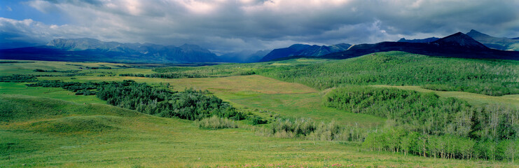 Wall Mural - canada, alberta, rocky mountains. forests and rangeland stretch from highway 3 to the canadian rocki