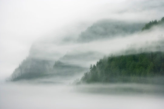 canada, british columbia, fiordland recreation area. mist and fog shroud water and forested island.