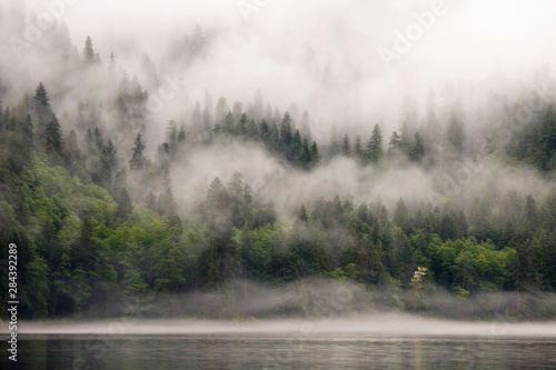 kanada-kolumbia-brytyjska-teren-rekreacyjny-fiordlands-okryty-mgla-las-przy-ujsciu-oceanu