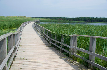 Poster - Canada, Prince Edward Island NP, Maritime Plain National Region. Greenwich Peninsula, Cavendish Coastal dune area and wetlands.