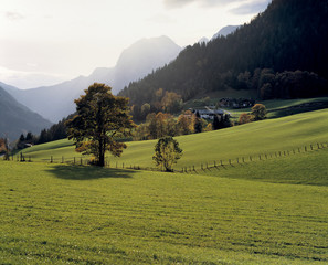 Poster - Germany, Bavaria, Ramsau. A cluster of farm houses nestle at the base of a hill near Ramsau, Bavaria, Germany.