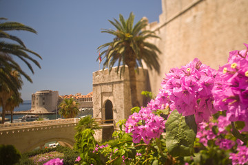 Walled City of Dubrovnik, Southeastern Tip of Croatia, Dalmation Coast, Adriatic Sea, Croatia, Eastern Europe