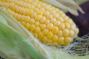 Raw yellow corns on a wooden table