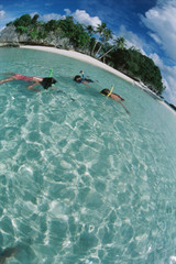 Poster - Micronesia, Palau, Honeymoon island, children snorkeling at sea