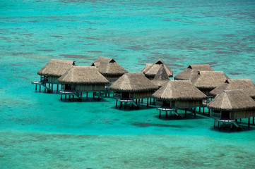 Canvas Print - South Pacific, French Polynesia, Moorea. Popular over the water bungalows.