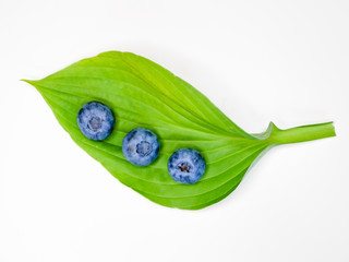 Blueberries on a leaf. on a white background. stack of blueberries with green leaves isolated on white background.