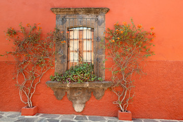 Sticker - Mexico, San Miguel de Allende. Scenic of window and plants. Credit as: Don Paulson / Jaynes Gallery / DanitaDelimont.com