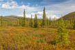 USA, Alaska, Steese Highway. Subalpine tundra landscape. Credit as: Don Paulson / Jaynes Gallery / DanitaDelimont.com