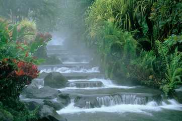 Sticker - Costa Rica, Tabacon Hot Springs, below Arenal Volcano, tropical vegetation along natural hot springs.