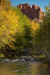 Poster - Autumn, Cathedral Rock, Red Rock Crossing, Crescent Moon Recreation Area, Oak Creek, Sedona, Arizona, USA