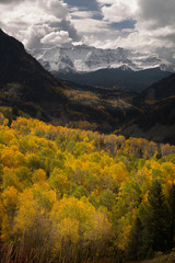 Poster - USA, Colorado, Uncompahgre National Forest. Sheep Mountain and autumn colored forest. 