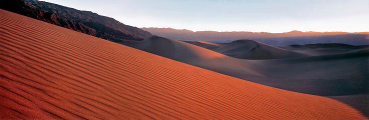 Sticker - USA, California, Death Valley NP. Evening light forms long shadows on this sand dune in Death Valley NP, California.