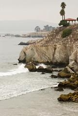 Wall Mural - USA, CA, Pismo Beach. Foggy Pelican Point with profusion of Brown Pelicans. Waves crash on cliffs