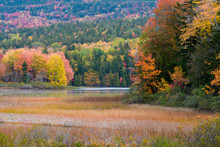Autumn, Seal Cove Pond, Seal Cove, Maine, Tremont, USA
