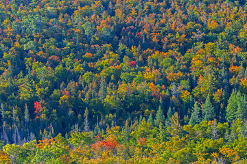 Sticker - Michigan, Keweenaw Peninsula, view from Brockway Mountain