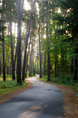 Sticker - USA, Minnesota, Itasca State Park, Wilderness Drive