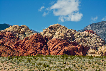 Wall Mural - Red Rock Canyon National Conservation Area, Nevada, USA.