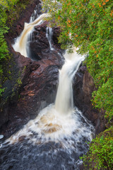 Wall Mural - Minnesota, Judge C. R. Magney State Park, Devil's Kettle Falls