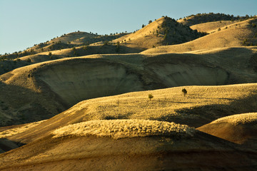 Wall Mural - Sunrise, Painted Hills, John Day Fossil Beds National Monument, Mitchell, Oregon, USA