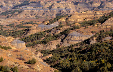 Wall Mural - USA, North Dakota, Theodore Roosevelt National Park, View from Bentonitic Clay Overlook with grassland, forest and eroded formations with gray colored exposed bentonite clay.