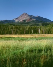 USA, Oregon, Deschutes National Forest. Broken Top Rises Above Coniferous Forest And Meadow Grass In Late Evening.