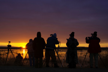 Canvas Print - USA, New Mexico, Bosque del Apache National Wildlife Refuge. Bird photographers line a marshy shoreline at sunrise. 