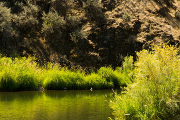 Poster - John Day River, Donnelly Service Creek Area, Oregon, USA