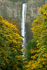 Poster - Autumn, Multnomah Falls, Columbia Gorge, Oregon, USA