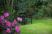 USA, South Carolina, Charleston. Vintage Bench In A Garden At Historic Magnolia Plantation. 