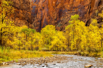 Sticker - USA, Utah, Zion National Park. Stream in autumn landscape. Credit as: Jay O'Brien / Jaynes Gallery / DanitaDelimont.com