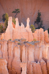 Sticker - UT, Bryce Canyon National Park, Queens Garden