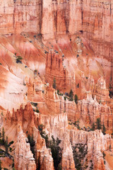 Wall Mural - Utah, Bryce Canyon National Park, Bryce Canyon and Hoodoos