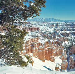 Sticker - USA, Utah, Bryce Canyon NP. Snow fall on Bryce Canyon National Park, Utah, fills the canyons and covers the hoodoos.