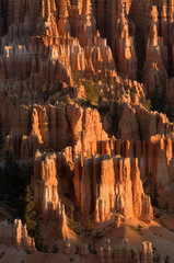 Sticker - Bryce Amphitheater, Bryce Canyon National Park, Utah, USA