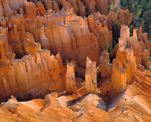 Sticker - USA, Utah, Bryce Canyon NP. An overhead view of hoodoos, in Bryce Canyon National Park, Utah, shows their intricate detail.