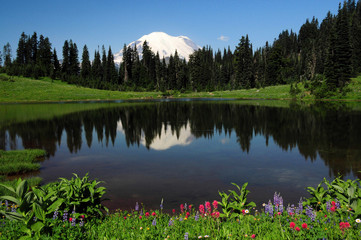 Sticker - Reflection of Mount Rainier, Tipsoo Lake, Mount Rainier National Park, Washington, USA.