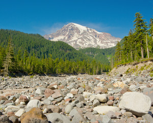 Sticker - Mount Rainier and Nisqually River, Mount Rainier National Park, Washington State, USA