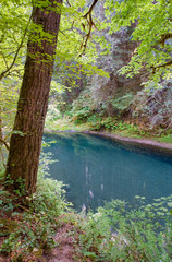 Sticker - USA, Washington State, Lewis River. A quiet stretch of the Lewis River in the Cascades Range, Washington State, reflects the blue sky.