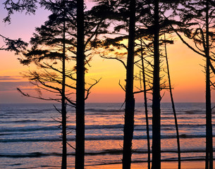 Poster - USA, Washington State, Olympic NP. Delicate sunset colors paint the waves as they crash on Ruby Beach at Olympic NP, a World Heritage Site in Washington State.