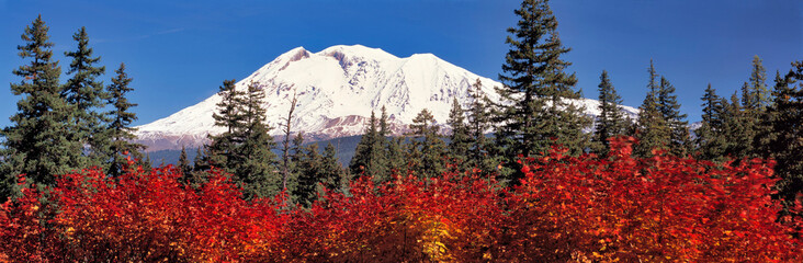 Wall Mural - USA, Washington State, Mt Adams. Mt Adams, at 12,276 feet, is the southern most volcano in the Cascades Range of Washington State.