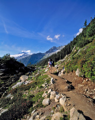 Sticker - USA, Washington State, North Cascades NP. On a clear summer's day, a lone hiker treks along Cascades Pass, in North Cascades NP, Washington State.